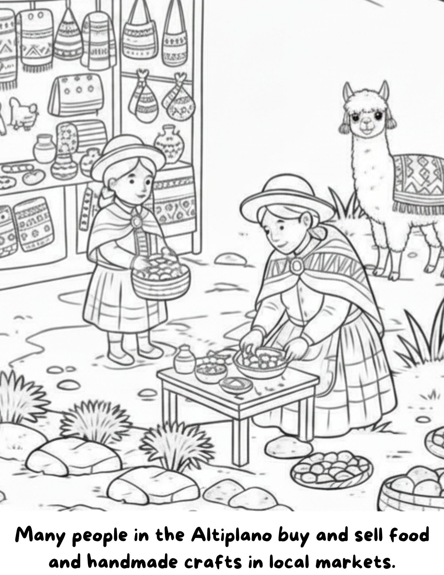 Kusi the Alpaca Explores the Peruvian Altiplano